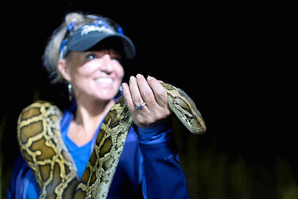 'Python Huntress' takes on  invasive snakes in Everglades